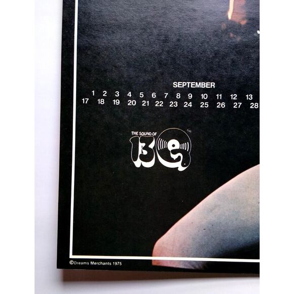 Jethro Tull Band Poster Original 1975 Prog Art Rock Music 22" Wall Art UNUSED - Picture 4 of 6